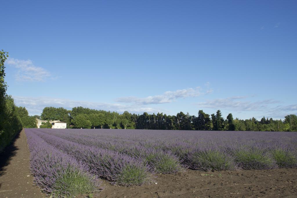 Montjoia Bed & Breakfast Le Thor Exterior foto